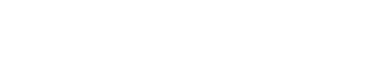 Epistemonikos Foundation